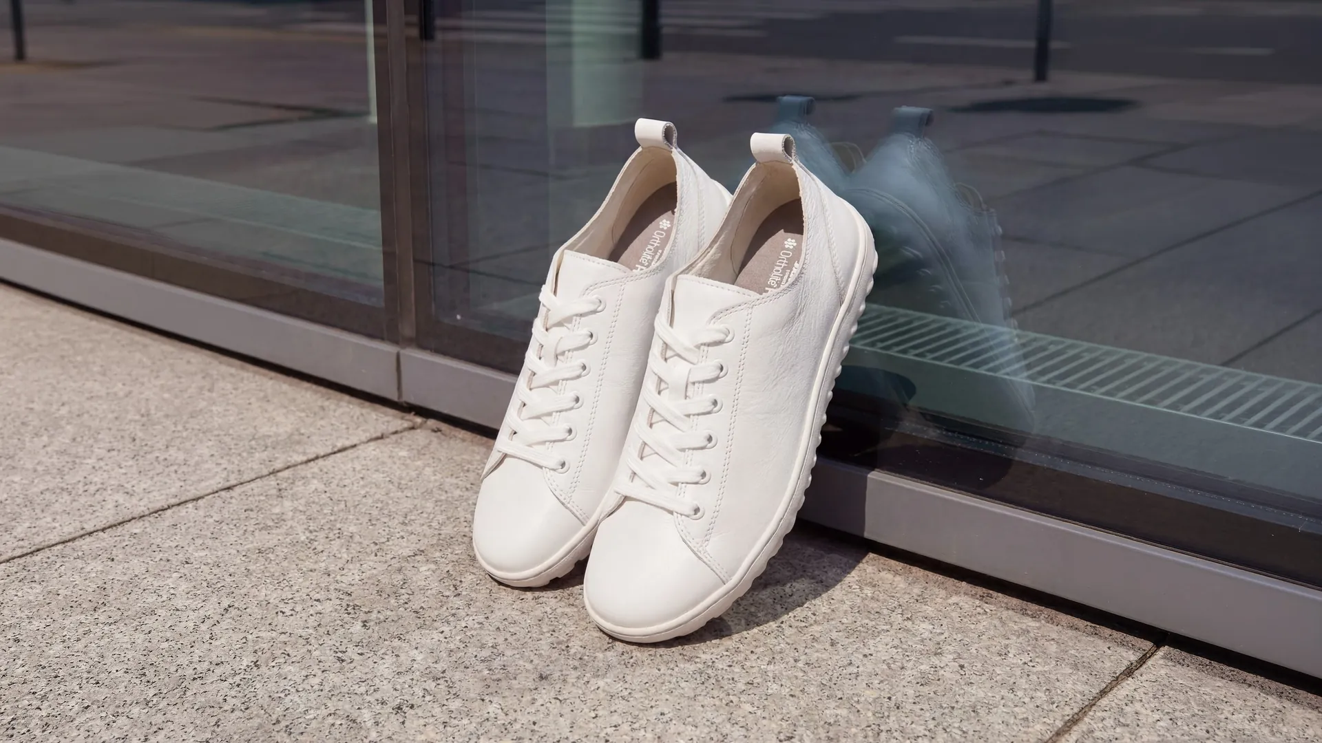 Everyday Comfort — výloha